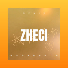 这次你真的弄丢了我 (Remix)