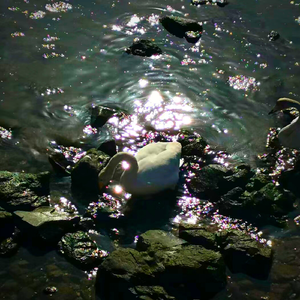 MiniCup (Prod.Heartf3lt)