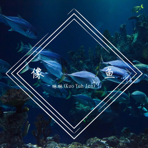 像鱼 Annie Kuo（翻自 王贰浪）