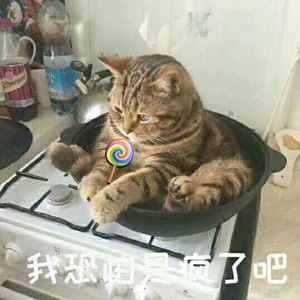 熬夜上瘾（翻自 刘亦心（可乐就是力量））