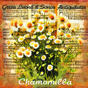Chamomilla