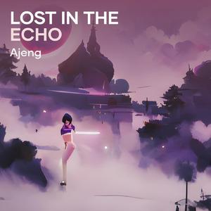Lost in the Echo