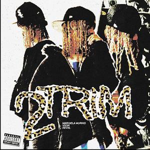 ATCHAR & GO-SLOS (2TRIM) (feat. Vson & Revxl)