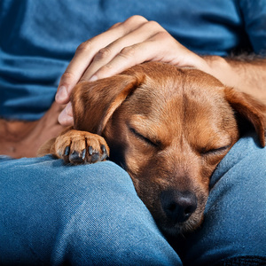 Debajo Del Cielo Pacífico