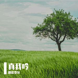 真我吟