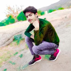 Pankaj Tatu Dil Su Chave Pooja Ladli Toku Meena Geet (feat. Thansingh Kamalpura & Pankaj Tatu)