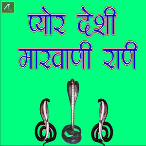 प्योर देसी मारवाड़ी राडी