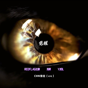 觉醒（Prod by.Nitemare$）