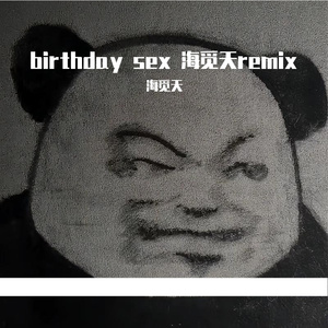 birthday s*x DJ海觅天remix（vnhouse）