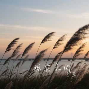 现实之间