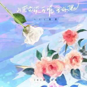 山茶花读不懂白玫瑰 (DJ豪大大版)