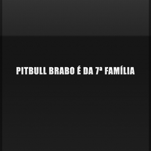 Pitbull Brabo É da 7ª Família