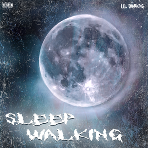 SLEEPWALKING（Prod.Meecro)