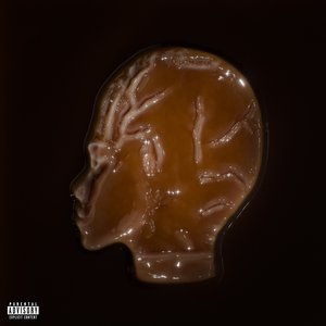 Feelings Aren't Facts