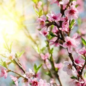 去见你想见的人