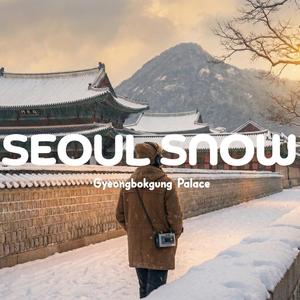 단청 위로 내리는 눈 (Snow on Dancheong)