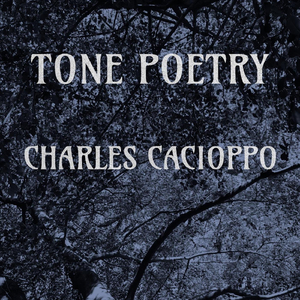 Tone Poetry (feat. Chris Aiello, Steven Kirsty, Daniel Duke & Nic Cacioppo)