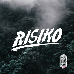 Risiko