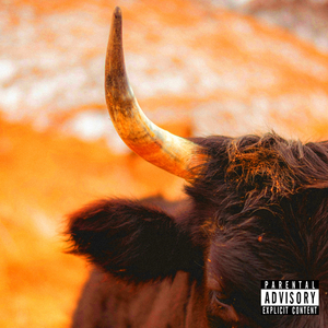 Where's My Girlfriend