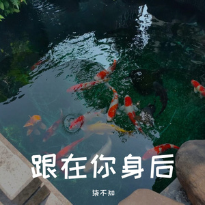 跟在你身后