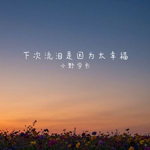 下次流泪是因为太幸福