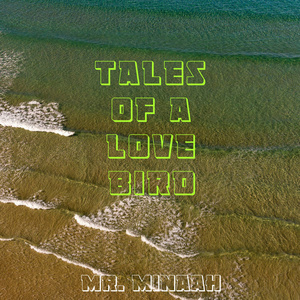 You No Dey Hear Word