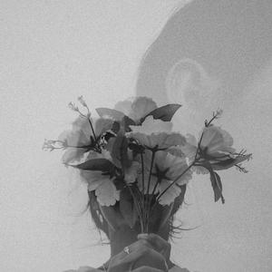 พื้นที่ปลอดภัย (Safe Zone)