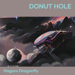Donut Hole