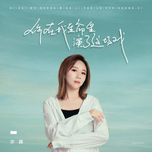 你在我生命里演了这场戏