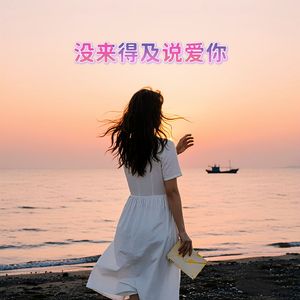 没来得及说爱你
