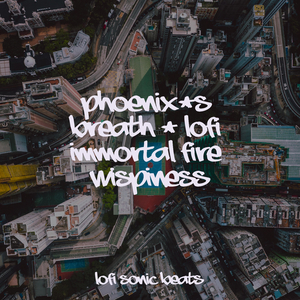 Sonic Stitches in Time