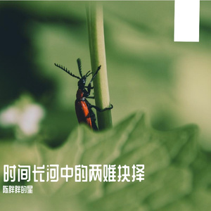 时间长河中的两难抉择