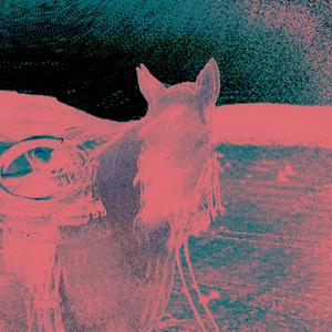 HIT THAT ZZ (feat. KLOVE)