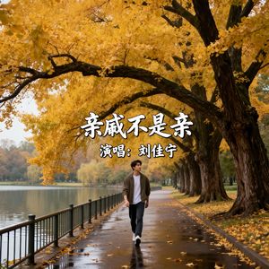 亲戚不是亲