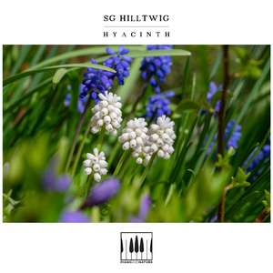 Hyacinth