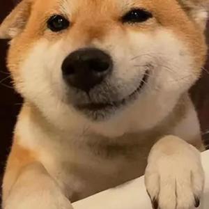 emo男孩不会再emo了