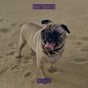Rap Track