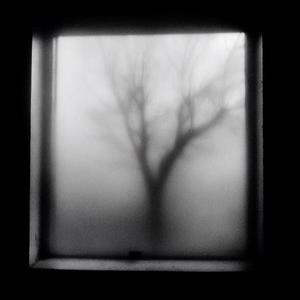 All Falls Silent（万籁归寂）