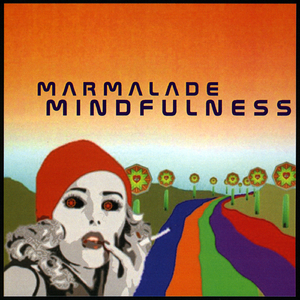 I Used Two Oval 4212's