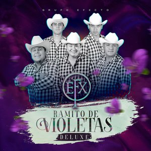 Ramito de Violetas Deluxe