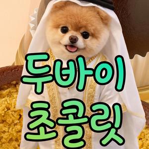 두바이 초콜릿 (Dubai Chocolate)