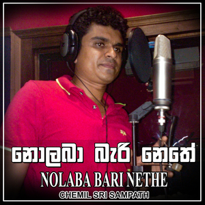 Nolaba Bari Nethe