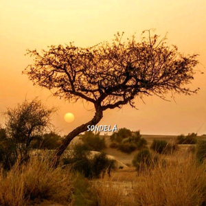 Sondela