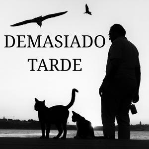 Demasiado Tarde