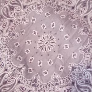 Hot boys (Baldheads)