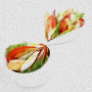 Quadratum