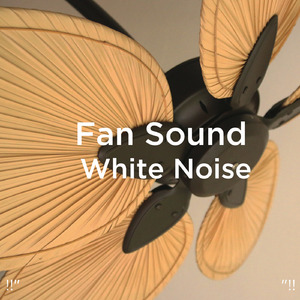 잠자는 팬 소리