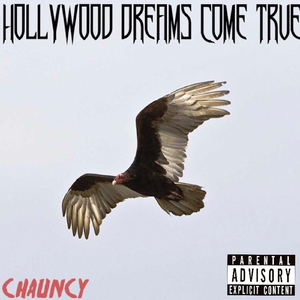 Hollywood Dreams Come True