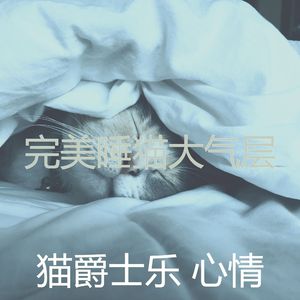 温和小猫梦想