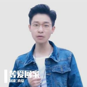 口是心非（DJ版）（翻自 张雨生）